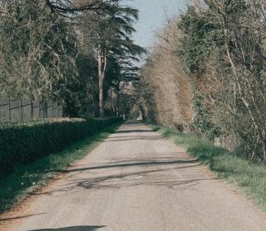 Le Pin Appartement | L’Estable Du Pin
