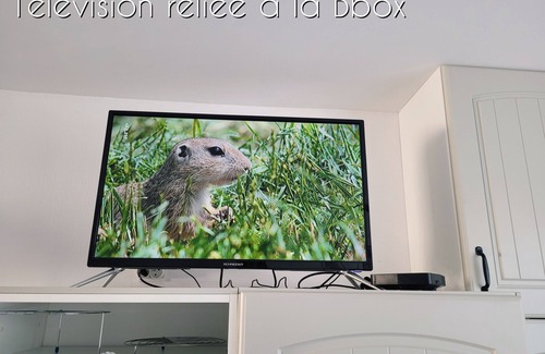 Meusnes Maison | L'harmonie - 15 min de Beauval