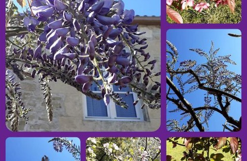 La Reorthe Maison | L'Heureux Lay