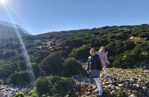 Kissane Maison | L'ile de caroubier