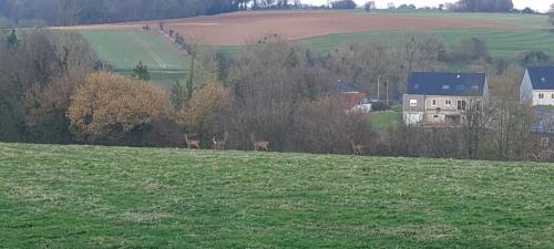 Preures Maison | L'impasse de la colline