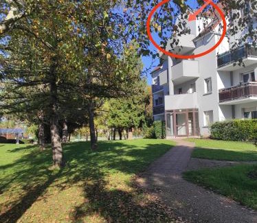 Obernai Appartement | L'Obernai