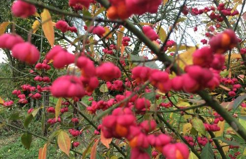 Le Renouard Maison | L'oisellerie Cottages