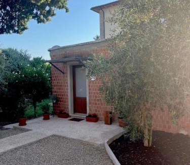 Ponteginori Maison | L'Olivo
