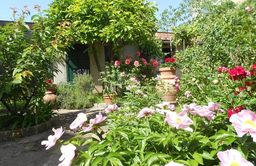 Pisa City Centre Appartement | L’Orto di Sant’Andrea - Centre historique