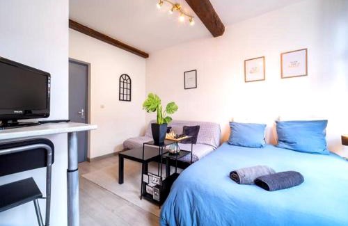 Lille Centre Ville Appartement | La belle niche