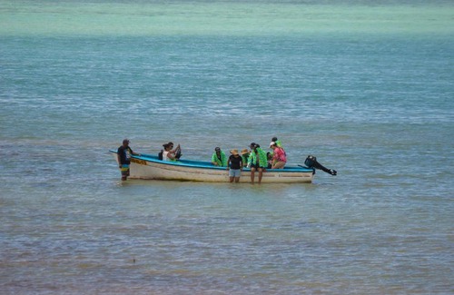 Coromandel Maison | La Belle Rodriguaise