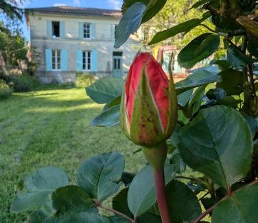 Laruscade Lit Et Petit-Déjeuner | La Belle Verte