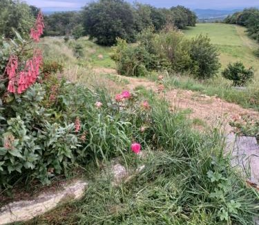 Mirepoix Maison | La Biste