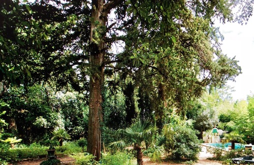 Sommieres Cottage | Maison d'hôtes La Boca