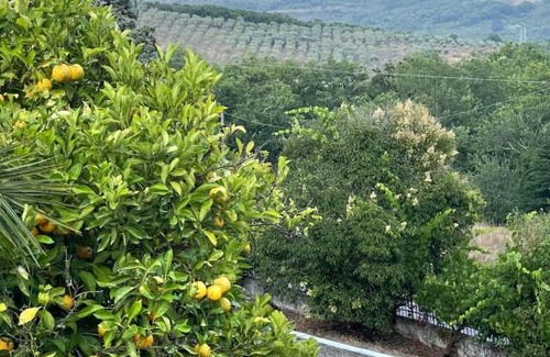 San Mauro La Bruca Autre | La Bolla dell'Usignolo