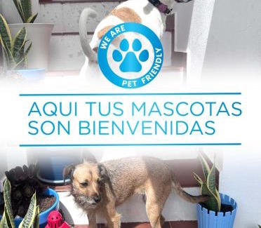 Arrecife Maison | La Buganvilla Rooms