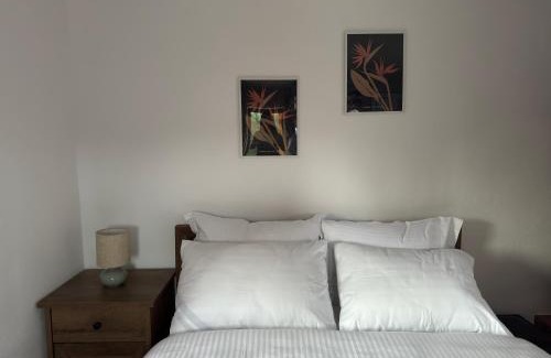 Suici Maison | La Căsuță Rudeni