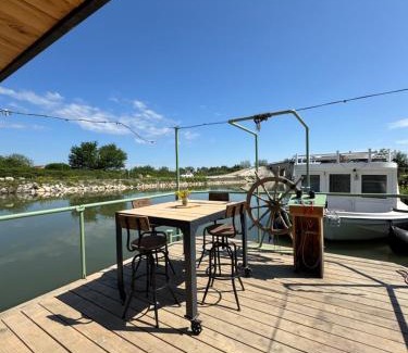Beauvoisin Location De Bateaux | La cabane a fleur d eau au cœur de la Camargue