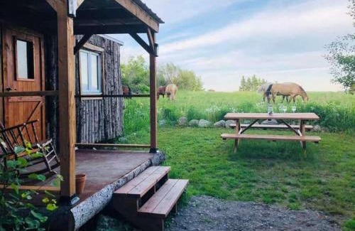 Saint-Onesime-d'Ixworth Autre | La Cabane aux Chevaux