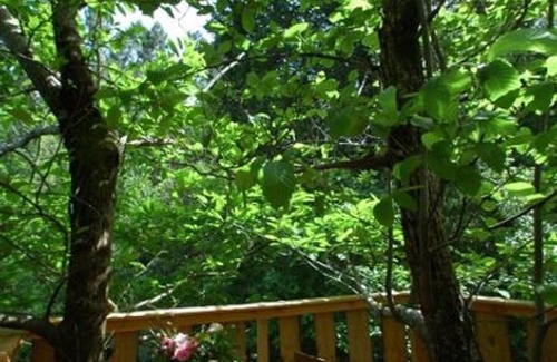Peyrolles Cabine | La Cabane de Peyrolles, perchée dans les arbres