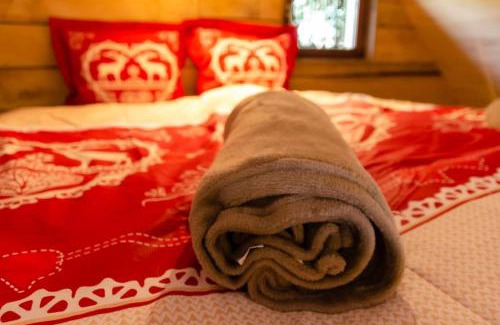 Brugelette Chalet De Ski | La cabane du cerf et son sauna