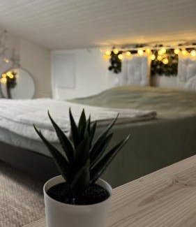 Mondonville Appartement | La Cabane Végétale