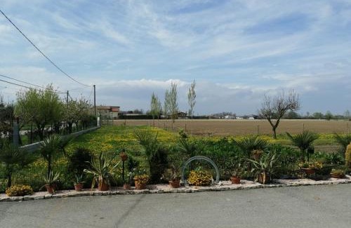 Codevigo Maison | LA CARLOTTINA