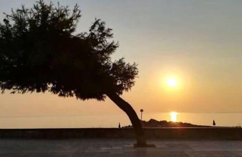 Marina Appartement | La casa al mare Corallo Bianco