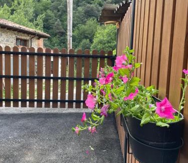 Lon Maison | La Casa de Sabina