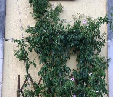 Serrano Appartement | La casa dei Collana