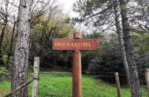 Caronia Maison | La casa dei nonni