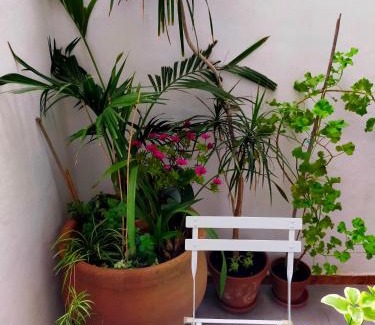 Pego Appartement | LA CASA DEL SOL