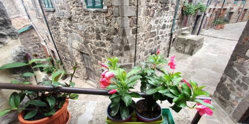 Abbadia San Salvatore Maison | La casa di Cla