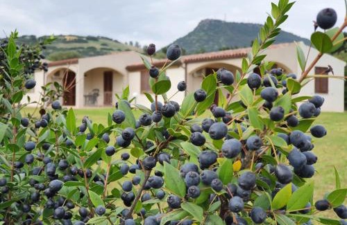 La Ciaccia Appartement | La Casa di Spinosella