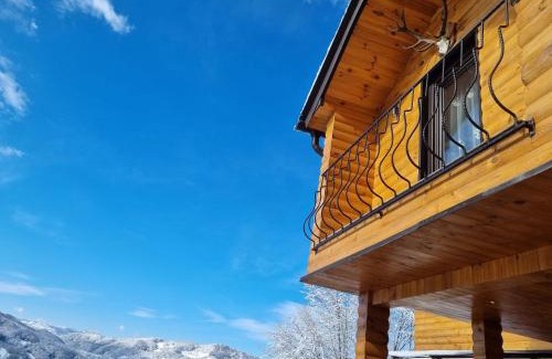 Viseu de Sus Maison | La casa din deal