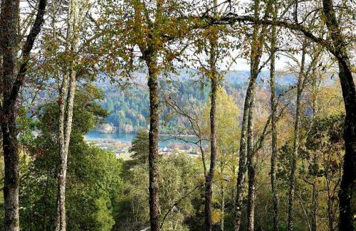 Valdivia Appartement | LA CASA EN EL BOSQUE con vista al Río