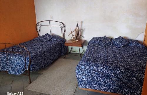 Xochitlan de Vicente Suarez Maison | La Casa D'Alick