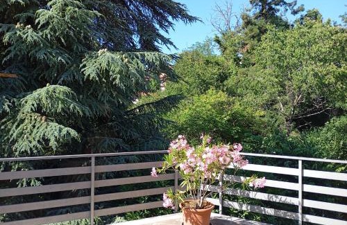 Fiuggi Appartement | La casa tra gli alberi
