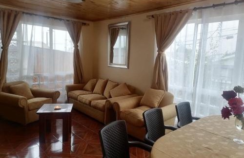 Vina del Mar Maison | La casa y el árbol