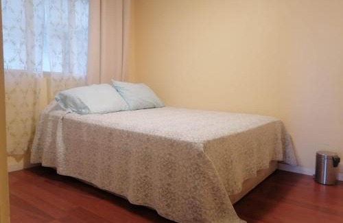 Vina del Mar Maison | La casa y el árbol