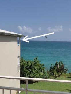 Pointe de la verdure Appartement | La Case à Méline