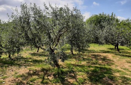Ricco del Golfo di Spezia Maison | La casetta di Bianca