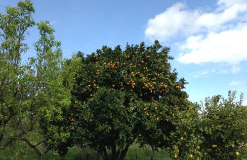 Castrillon Maison | LA CASINA DEL HUERTo