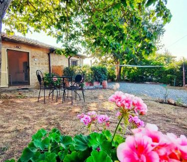 Strove Maison | La casina
