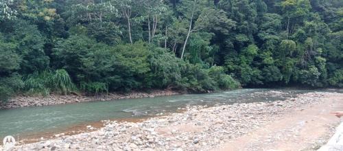 Hatillo Appartement | La casita
