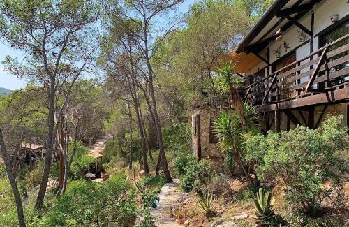 Sant Pere de Ribes Appartement | La Casita del Bosque
