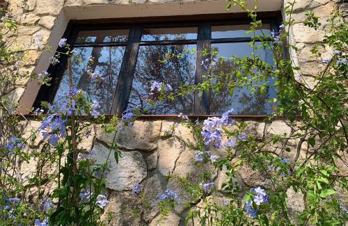Sant Pere de Ribes Appartement | La Casita del Bosque