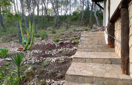 Sant Pere de Ribes Appartement | La Casita del Bosque