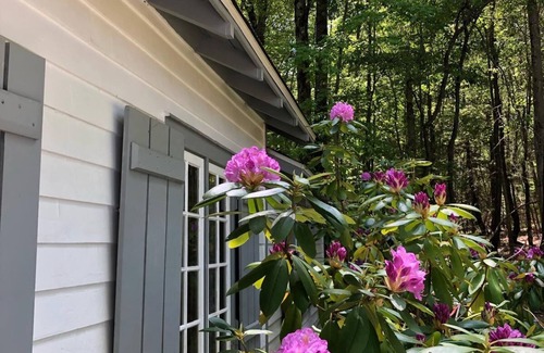 Laporte Cottage | La Casita, The 1934 Tiny House