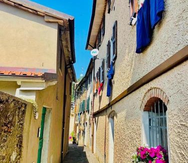 Seravezza Maison | La Cerretina