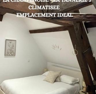 Old Town Appartement | La Champenoise La Tannerie