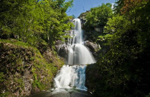 Cassagnas Autre | La chevrerie des felges