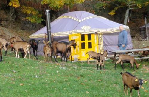 Cassagnas Autre | La chevrerie des felges