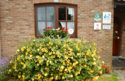 Cuesmes Maison | La Chrysalide
